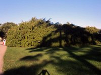 photos 2000-200902553